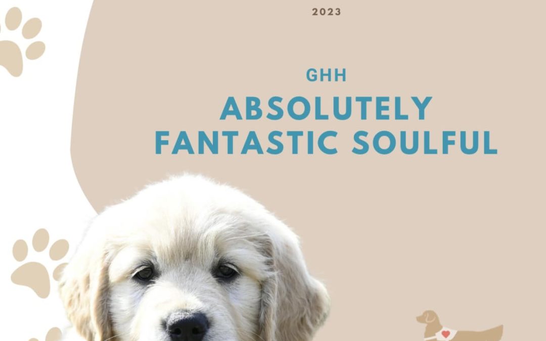 GHH Absolutely Fantastic Soulful – Maszat