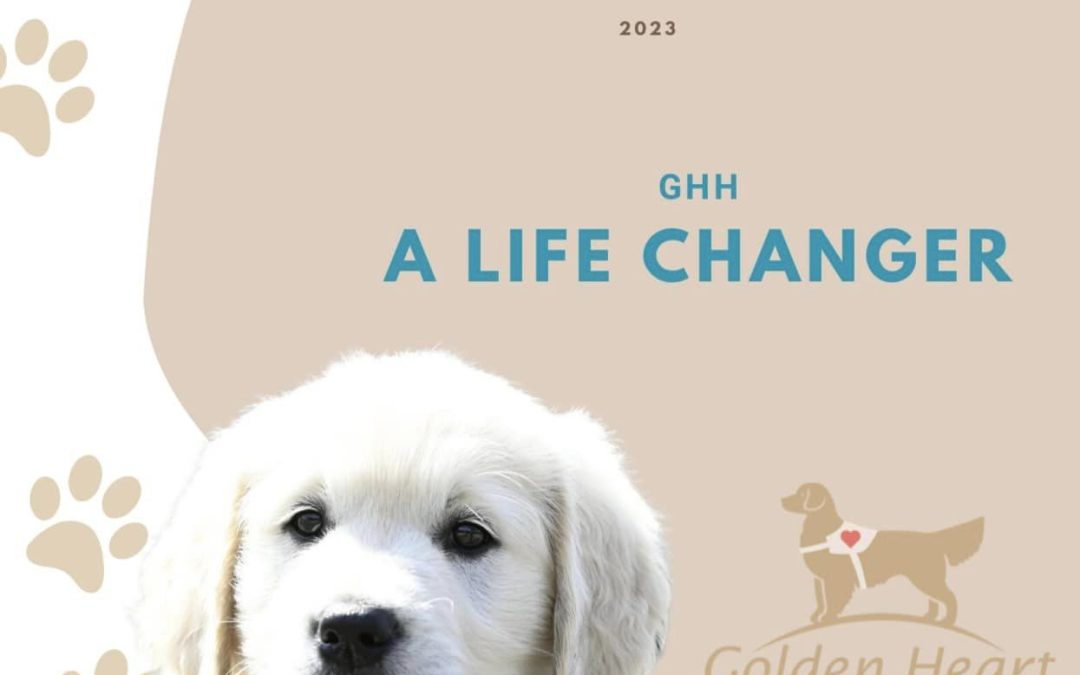 GHH A Life Changer – Ginger