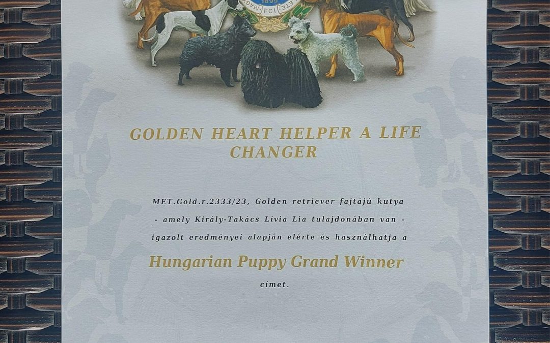 GHH A Life Changer “Ginger” champion lett!